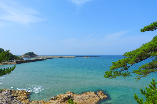 山陰海岸 初秋 岩と松