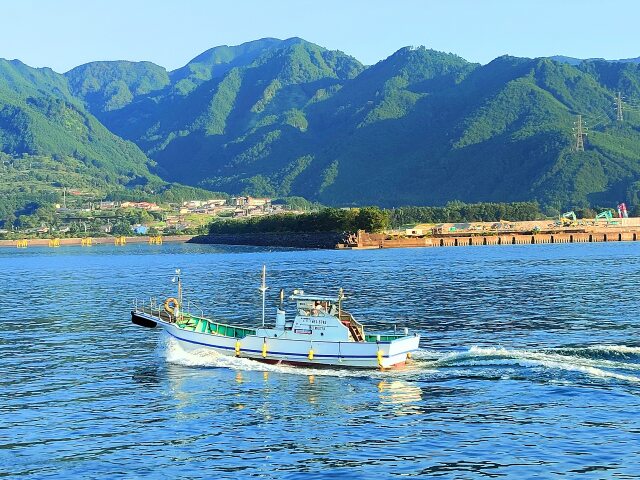 夏の海