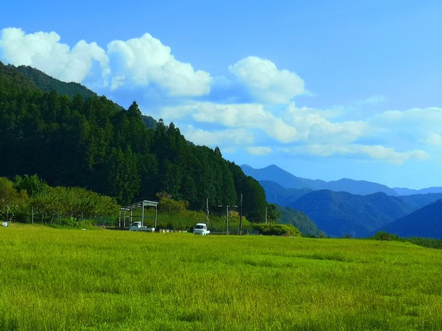 夏の終わりの里山