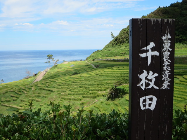 何枚だ 千枚田 2021年