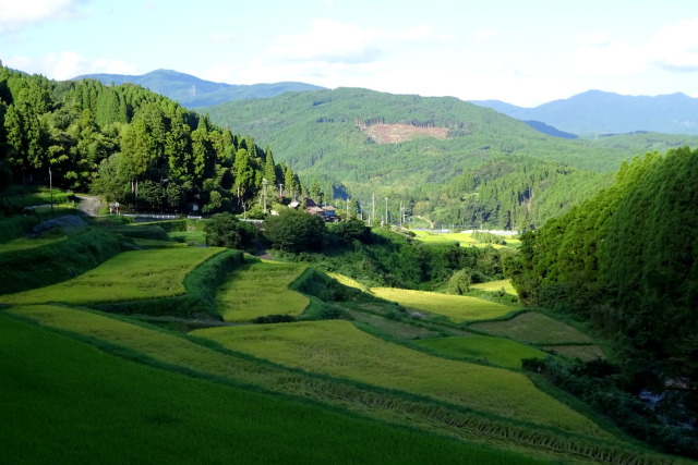 晩夏の山村棚田