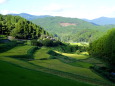 晩夏の山村棚田