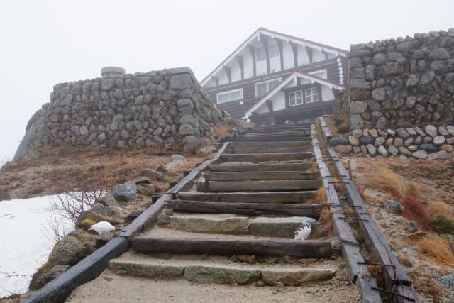 燕山荘の門番