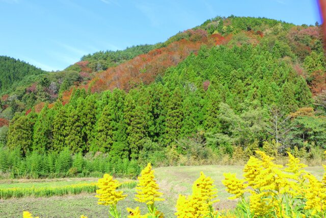 木曽路