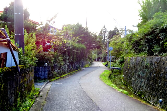 旧道の田舎道