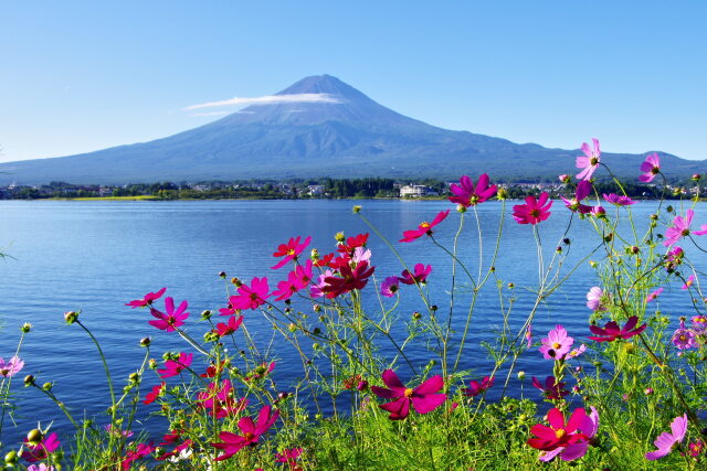 秋の河口湖