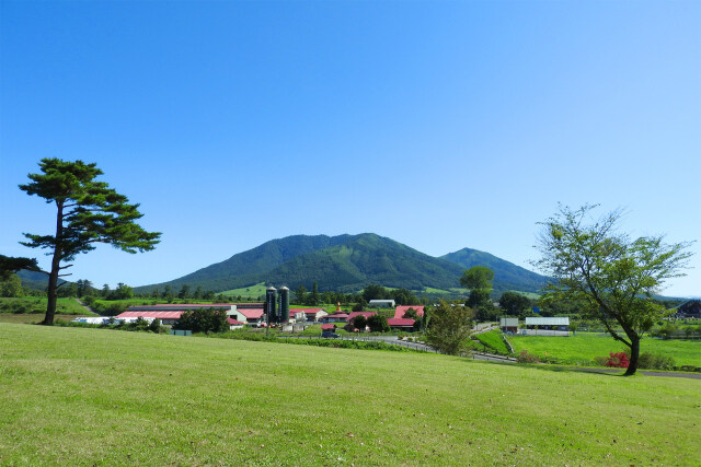 高原 秋の風 14