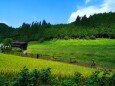 奥飛騨秋の里山