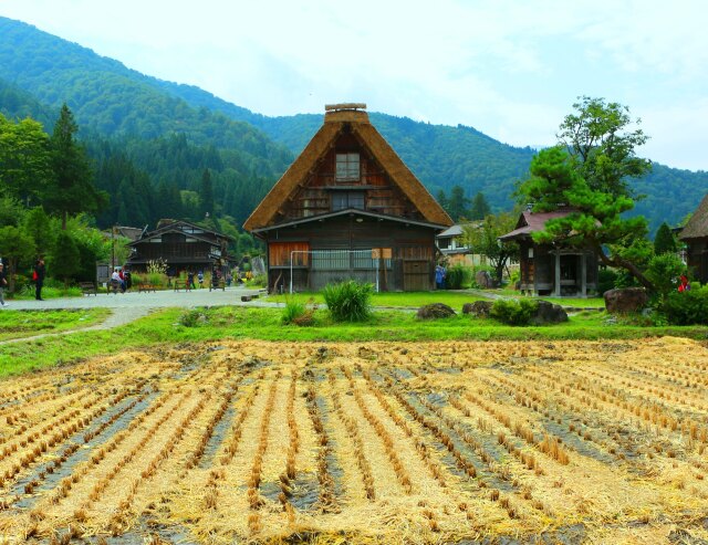 白川郷