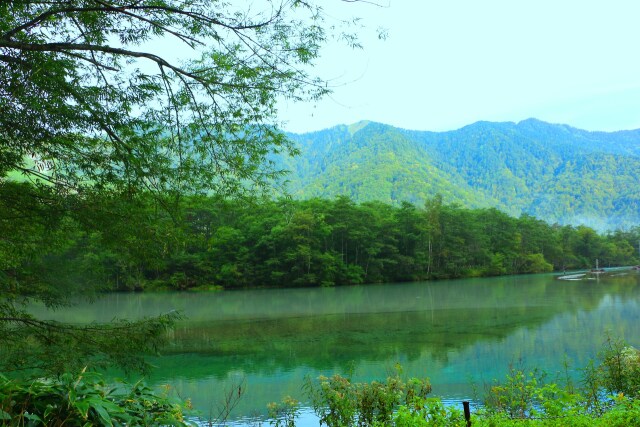 大正池9月