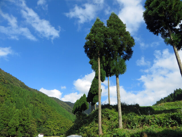 山里 秋空と雲