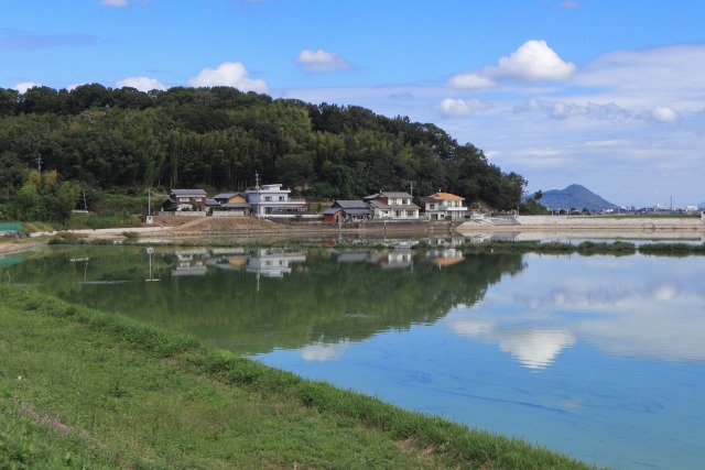 田舎のため池