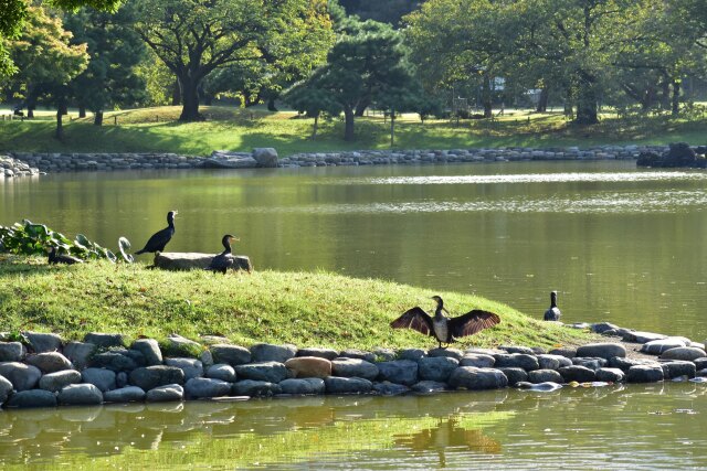 浜離宮恩賜庭園