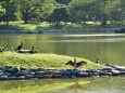 浜離宮恩賜庭園