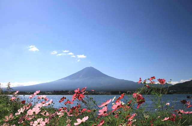 秋の風景