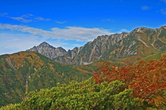 立山の秋