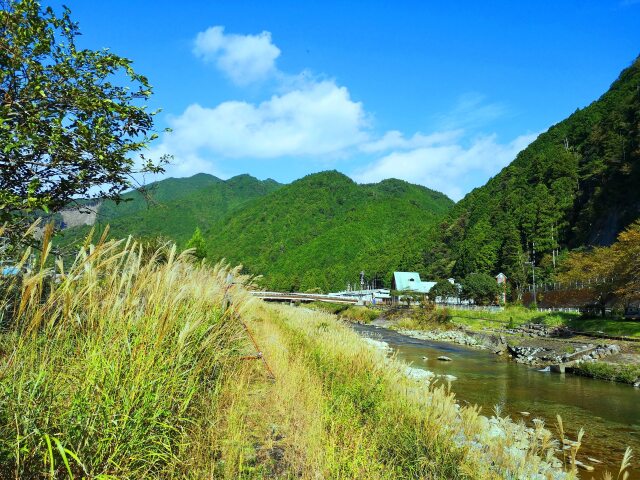 秋の里山