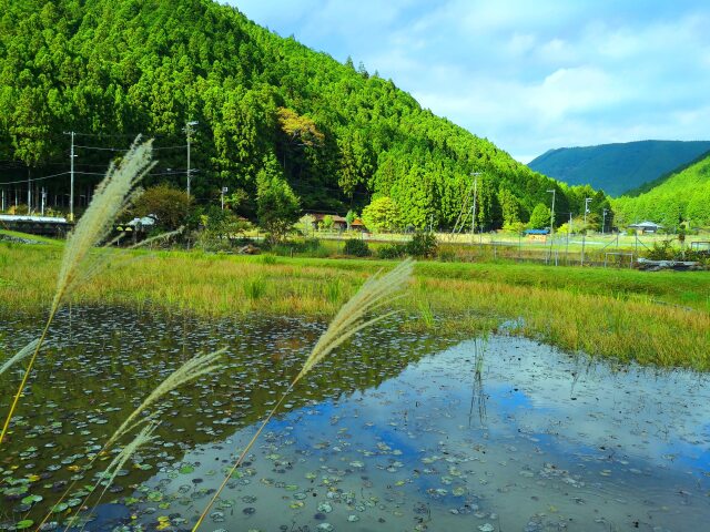 秋の里山