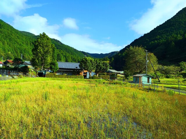 秋の里山