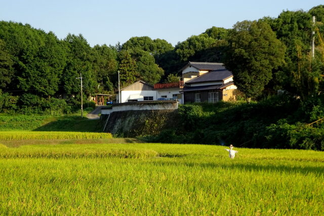 だんだん深まっていく秋