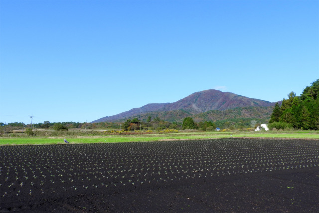 高原 秋の風 23