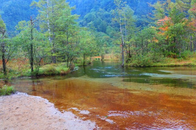 上高地秋