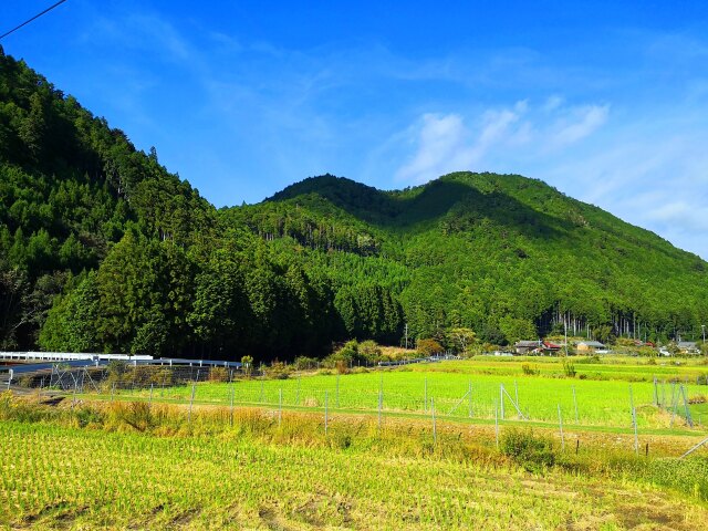 秋の里山