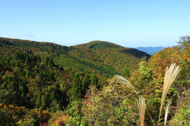 山の秋進む 2