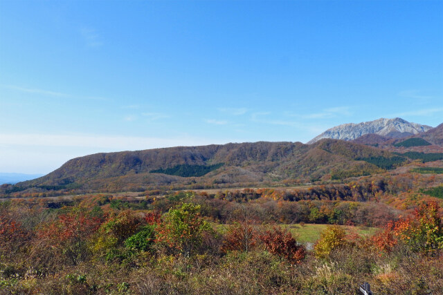 秋色に変わる大山 3