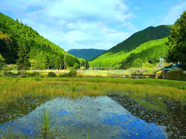 秋の里山