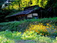 夕暮れが近い山間部