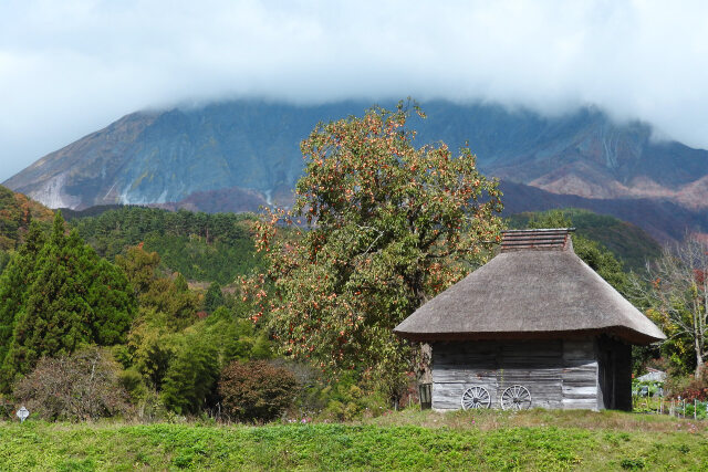 山里の秋 大山 2