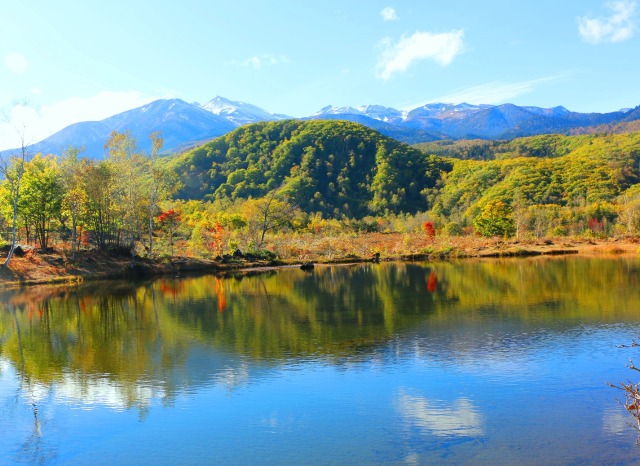 まいめの池