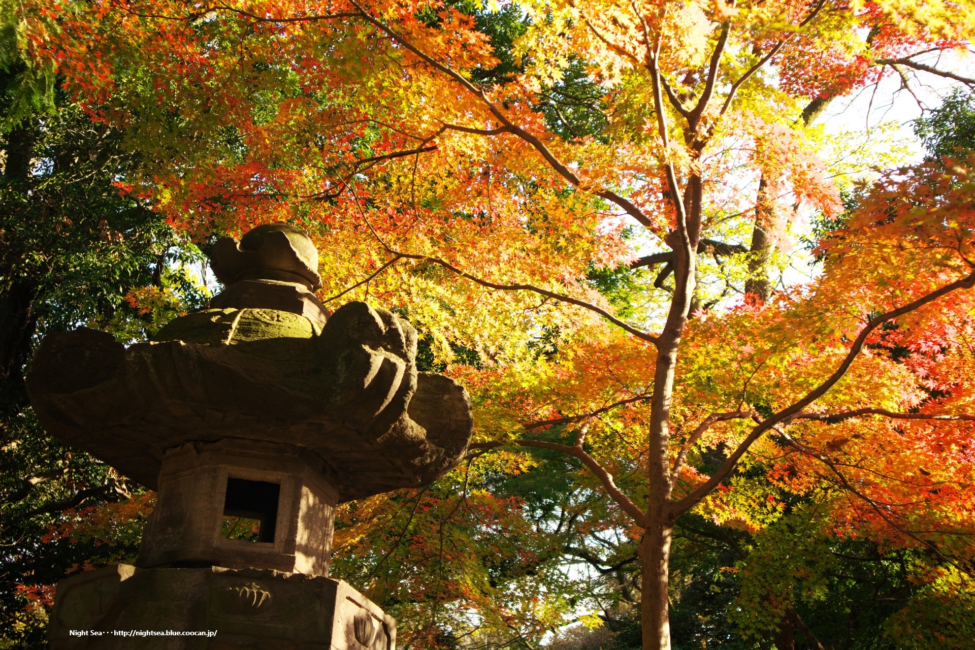 日本の風景「秋日和」壁紙1920x1280 - 壁紙館
