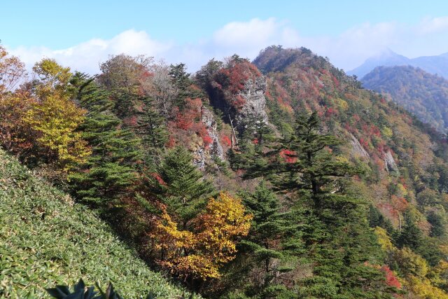 登山道からの眺め