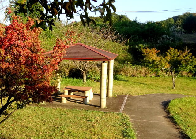 西日が照らす公園