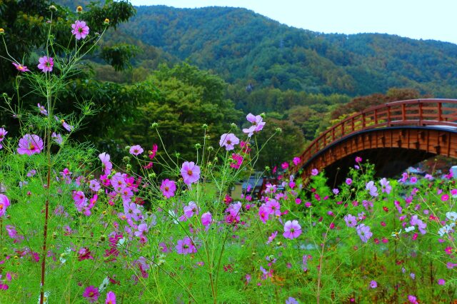 木曽の大橋