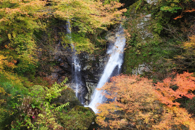 山の秋進む 14