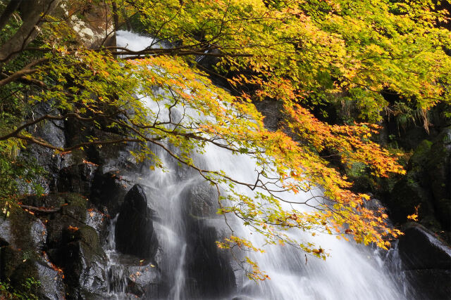 山の秋進む 15