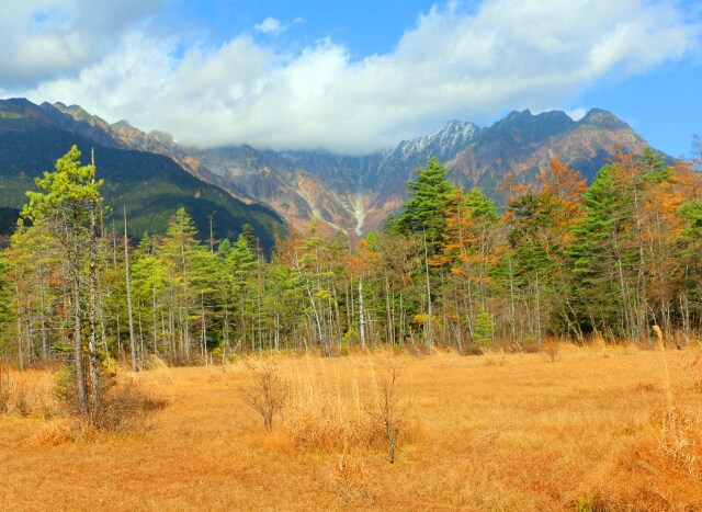 田代湿原秋