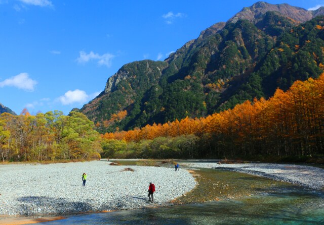 上高地秋