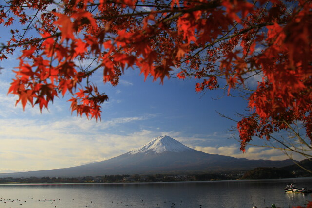 河口湖の紅葉