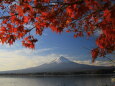 河口湖の紅葉