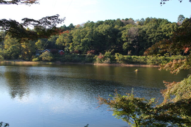 紅葉の宮沢湖