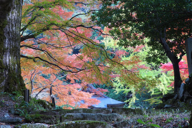 山寺 秋 2