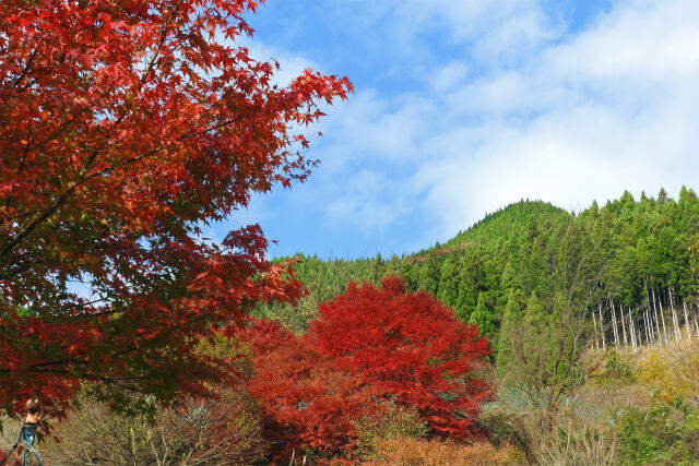 山の秋進む 21