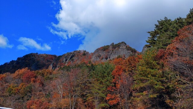 霊山の紅葉①