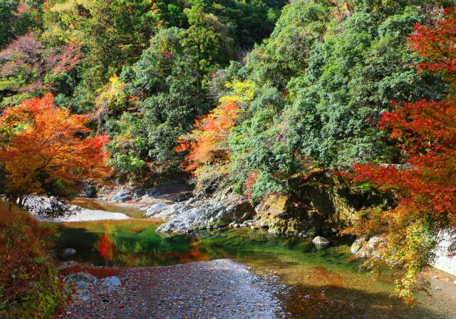 紅葉