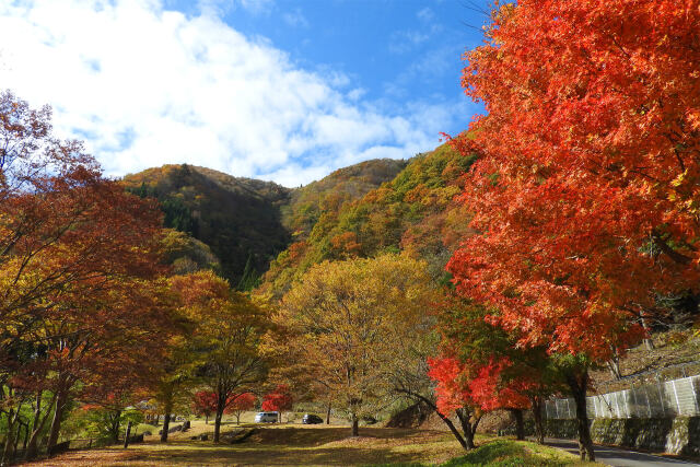 山の秋進む 24