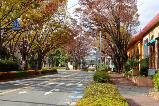 秋の風景 街の通り